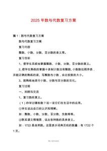 2025年數(shù)與代數(shù)復(fù)習(xí)方案