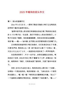 2025年暖和的街頭作文