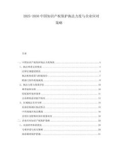 2025-2030中國知識產(chǎn)權(quán)保護執(zhí)法力度與企業(yè)應(yīng)對策略