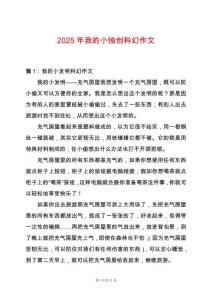 2025年我的小獨創科幻作文