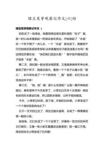 綠豆發芽觀察記作文份