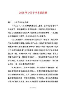 2025年小王子書本讀后感