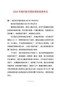 2025年我們的可惡的男孩優秀作文