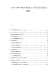 2025-2030中國碳纖維行業技術壁壘與下游應用拓展報告