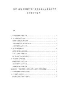 2025-2030中國碳纖維行業競爭格局及未來投資價值預測研究報告