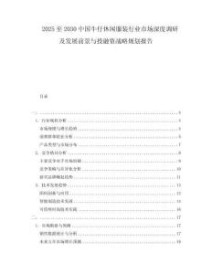 2025至2030中國牛仔休閑服裝行業市場深度調研及發展前景與投融資戰略規劃報告