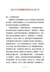 2025年總有柳暗花明時作文850字