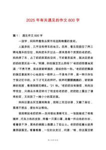 2025年有關遇見的作文800字