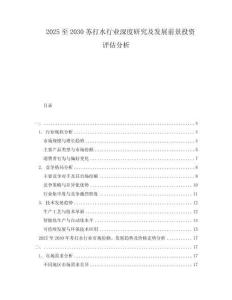 2025至2030蘇打水行業(yè)深度研究及發(fā)展前景投資評估分析