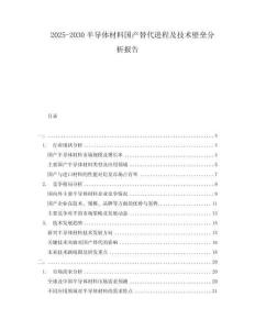 2025-2030半導(dǎo)體材料國(guó)產(chǎn)替代進(jìn)程及技術(shù)壁壘分析報(bào)告