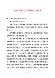 2025年嵩山之行的作文300字