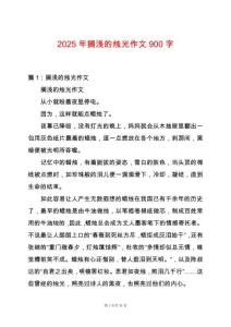 2025年擱淺的燭光作文900字