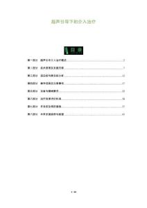 超聲引導下的介入治療-洞察及研究