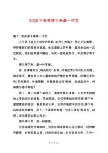 2025年有關停下來高一作文