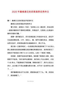 2025年最難遺忘的卻是指責優秀作文