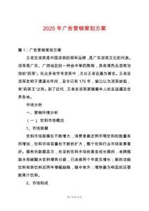 2025年廣告營銷策劃方案