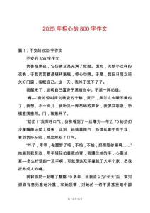 2025年擔心的800字作文