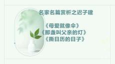 中考復(fù)習(xí)閱讀專項(xiàng)名家名篇賞析之遲子建