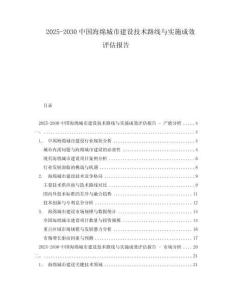 2025-2030中國海綿城市建設技術路線與實施成效評估報告
