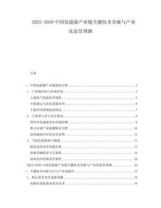 2025-2030中國氫能源產(chǎn)業(yè)鏈關(guān)鍵技術(shù)突破與產(chǎn)業(yè)化前景預(yù)測