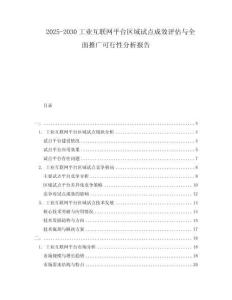 2025-2030工業互聯網平臺區域試點成效評估與全面推廣可行性分析報告