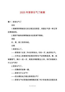 2025年菲菲生氣了教案