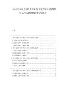 2025至2030全球及中國親AV解決方案行業發展研究與產業戰略規劃分析評估報告