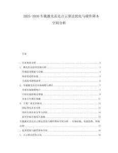 2025-2030車載激光雷達(dá)點云算法優(yōu)化與硬件降本空間分析