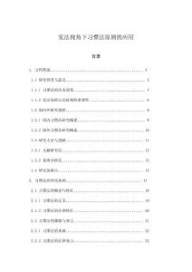 憲法視角下習(xí)慣法原則的應(yīng)用