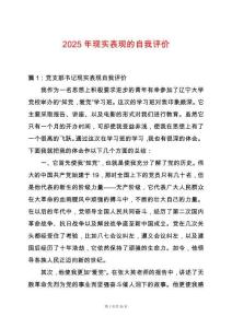 2025年現實表現的自我評價