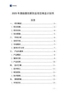 2025年激勵(lì)器創(chuàng)新創(chuàng)業(yè)項(xiàng)目商業(yè)計(jì)劃書