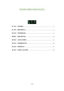 骨轉移中細胞外基質動態變化-洞察及研究