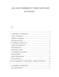 2025-2030中國(guó)新能源汽車產(chǎn)業(yè)鏈全景分析與投資潛力評(píng)估報(bào)告