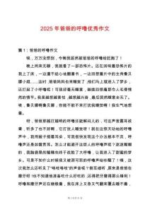 2025年爸爸的呼嚕優(yōu)秀作文