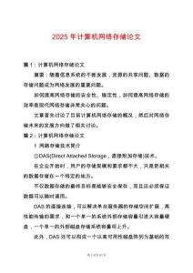 2025年計算機網(wǎng)絡存儲論文