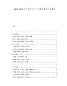 2025-2030電子級特種氣體純化設備國產化進展