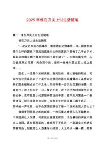 2025年誰在刀尖上討生活隨筆