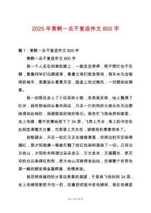2025年黃鶴一去不復(fù)返作文800字