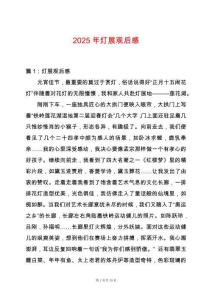 2025年燈展觀后感