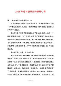 2025年桂林游玩后的感想心得
