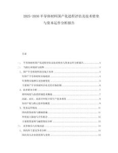 2025-2030半導(dǎo)體材料國(guó)產(chǎn)化進(jìn)程評(píng)估及技術(shù)壁壘與資本運(yùn)作分析報(bào)告
