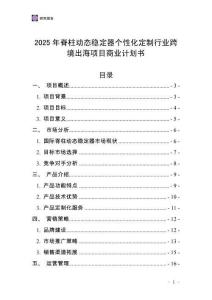 2025年脊柱動態穩定器個性化定制行業跨境出海項目商業計劃書