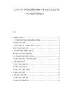 2025-2030中國智慧城市基礎(chǔ)設(shè)施智能化改造市場(chǎng)評(píng)估與前景展望報(bào)告