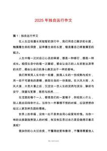 2025年獨自遠行作文