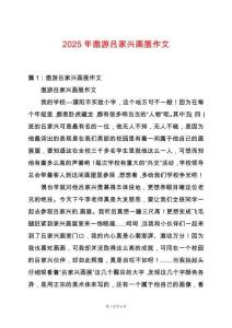 2025年遨游呂家興畫展作文