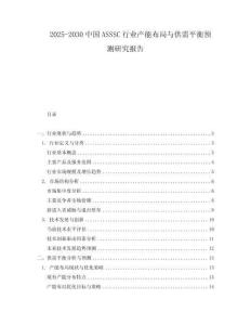 2025-2030中國ASSSC行業產能布局與供需平衡預測研究報告