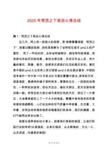 2025年穹頂之下觀后心得總結(jié)