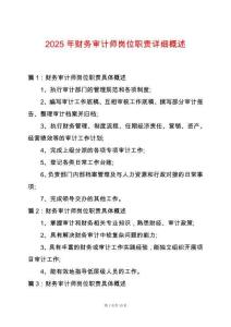 2025年財務審計師崗位職責詳細概述