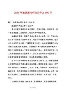 2025年追星族向何處去作文800字