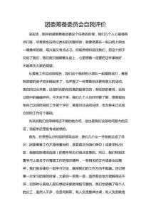 團委籌備委員會自我評價